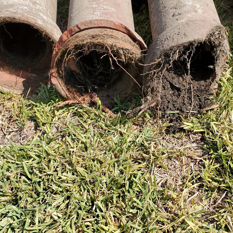 Main Sewer Line Blockage
