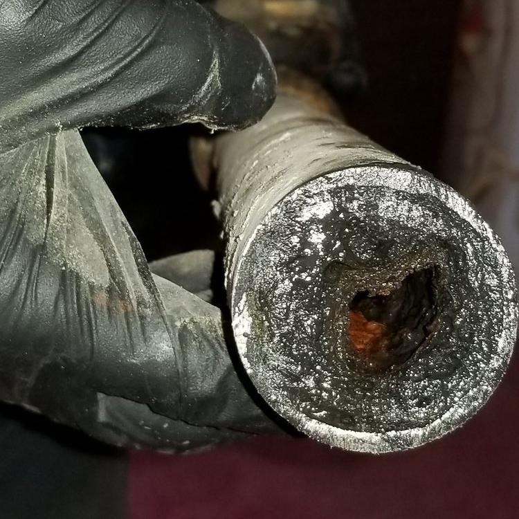 Sewer line Blockage